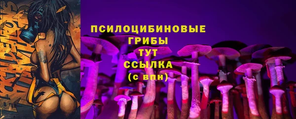 герыч Алзамай